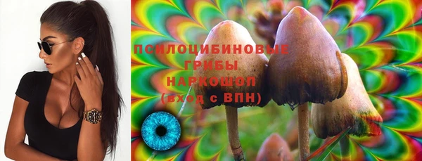 герыч Бронницы